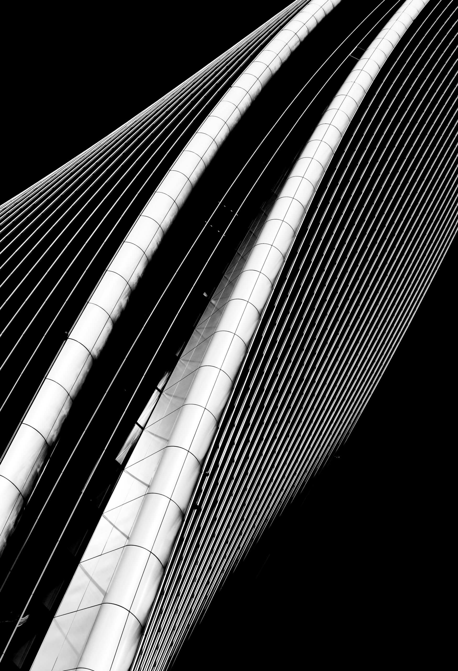 Neodiagonal, 2022 — Busan International Art Festival — Bronze Award — Filippo Papa